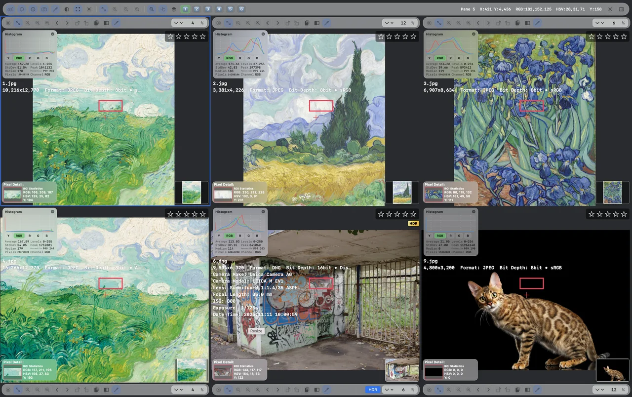 Multi-image comparison workspace