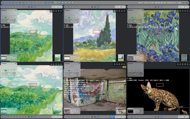 Domino Image Viewer 六图同步对比