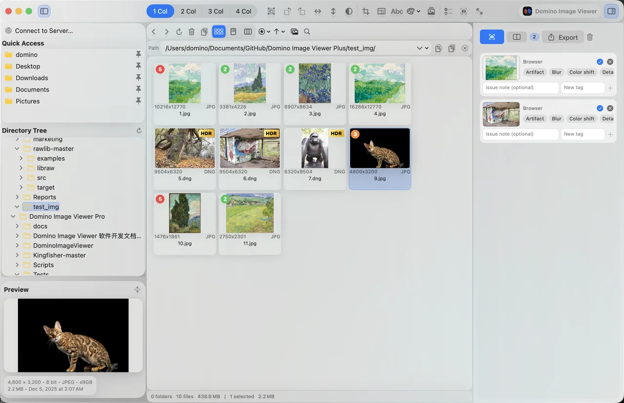 Domino image browser, ratings and file tray